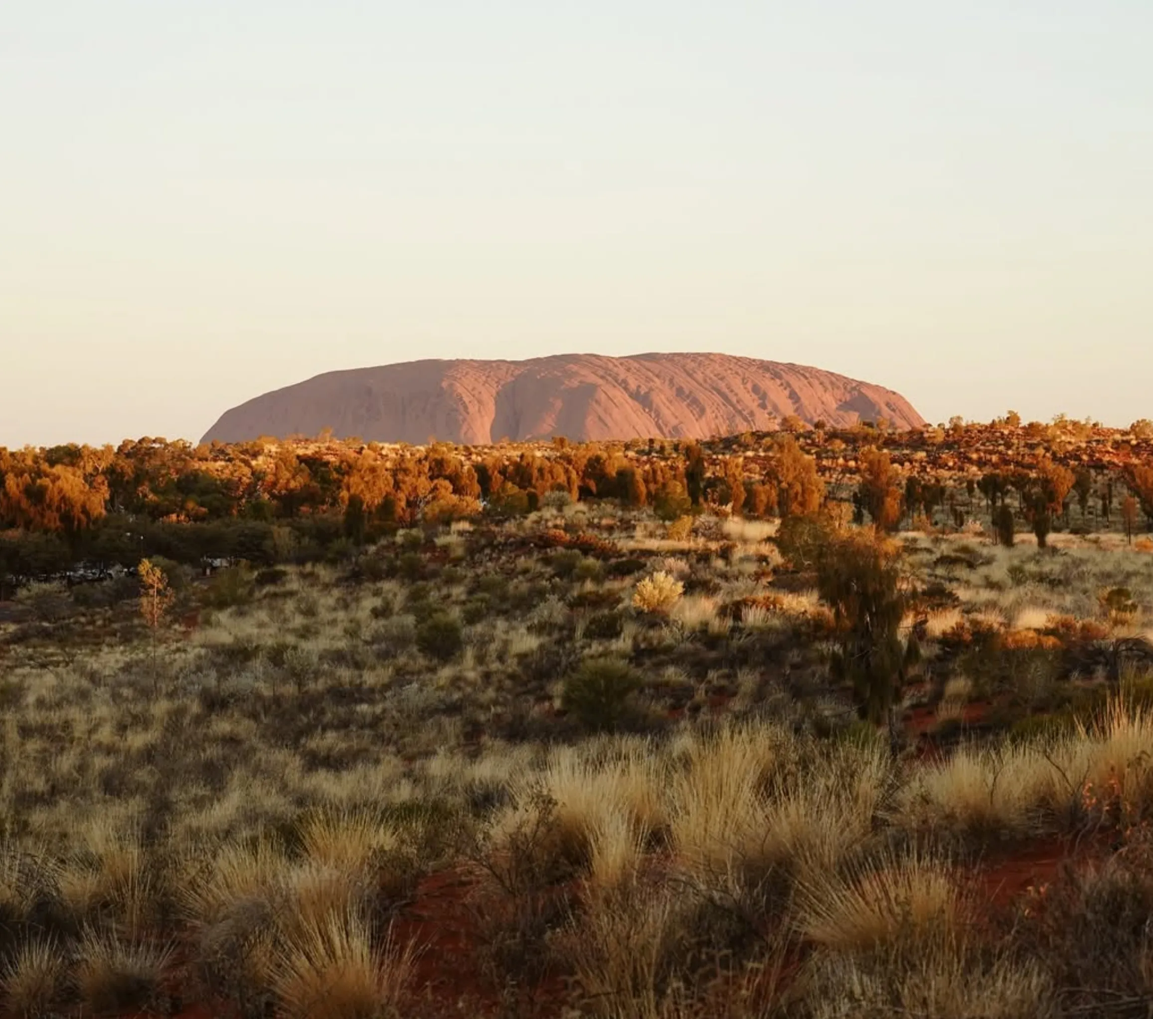 best Uluru tour