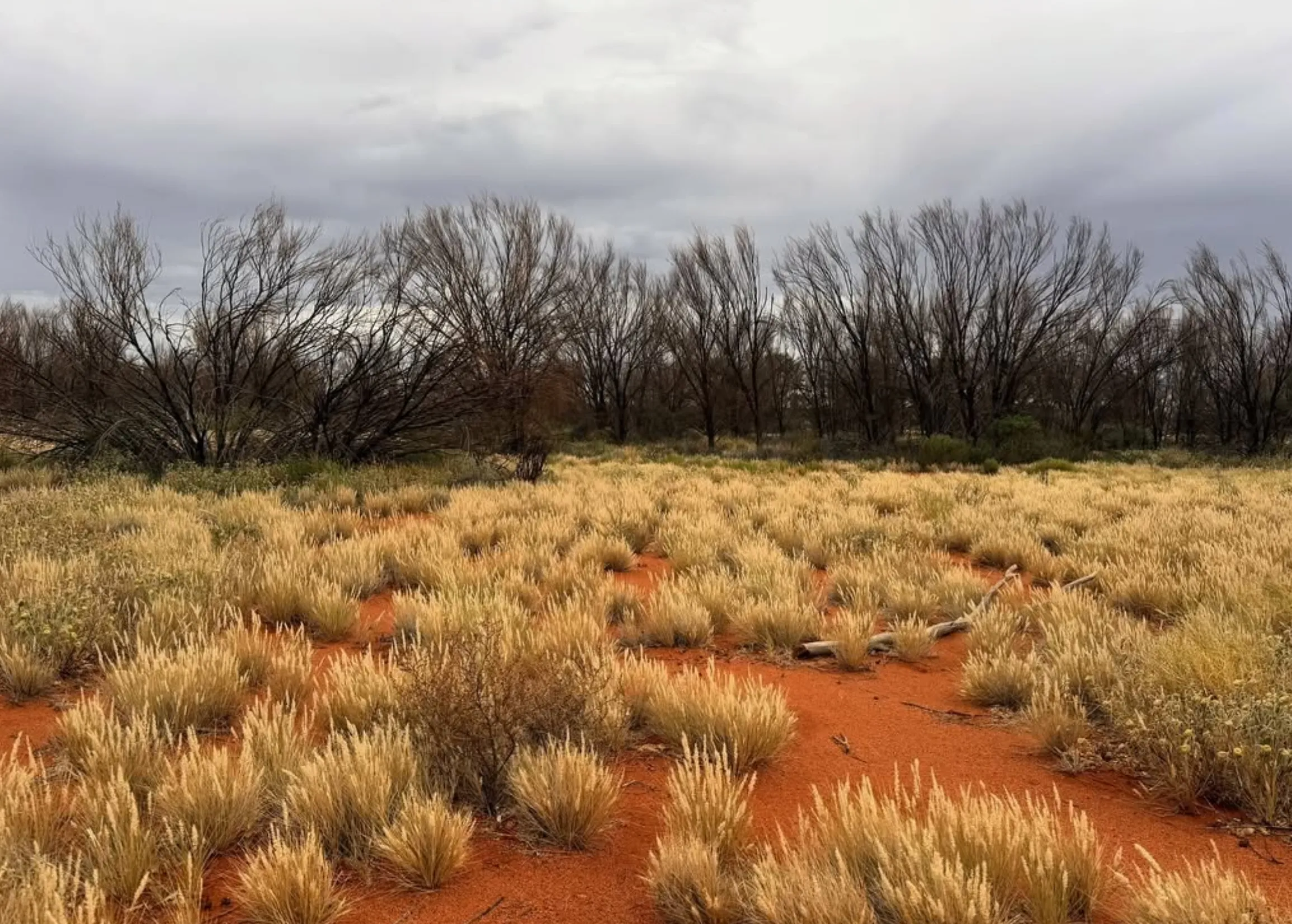 Uluru vs meteorite craters